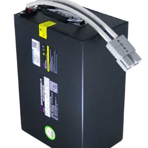Bateria 72V 35Ah Removível Citycoco Sport 901
