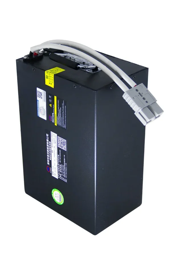 Bateria 72V 35Ah Removível Citycoco Sport 901